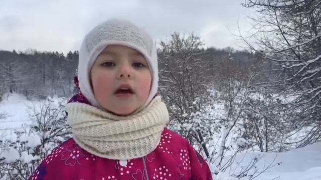 Чародейкою зимою... Стихотворение Тютчева. 4 января 2019г смотреть онлайн
