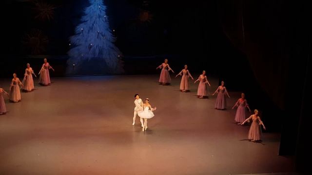 Tchaikovski.Nutcracker. Adagio. Tbilisi State Opera and Ballet theatre смотреть онлайн