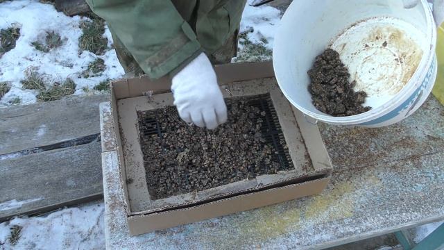 ПЕРГА. КАК ВЫБИТЬ ИЗ СОТ. Оказывается это просто