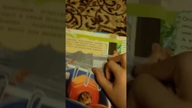 Книга "Мир животных" История про хомяка! смотреть онлайн