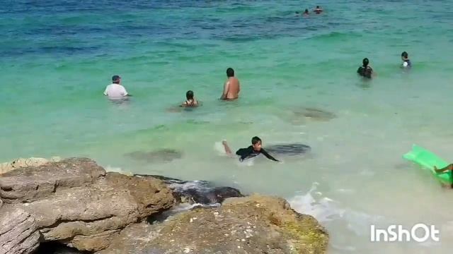 Playa ? Tortugas Cancun 2022