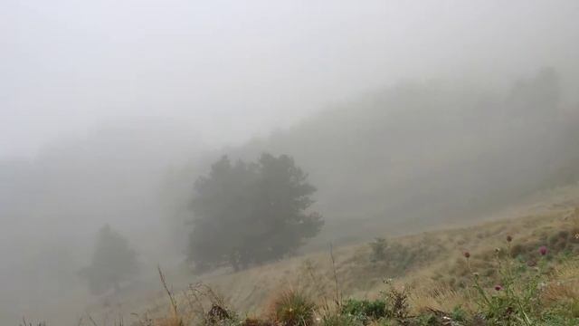 День 1. Поднялся в облако. В небесной канцелярии отключили детальную прорисовку текстур. смотреть онлайн