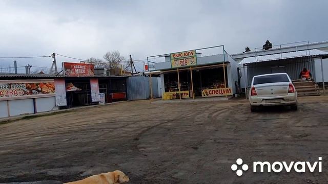 #Ейск? Должанская. Едем на Азовское море. Рынок. Мой обед. смотреть онлайн