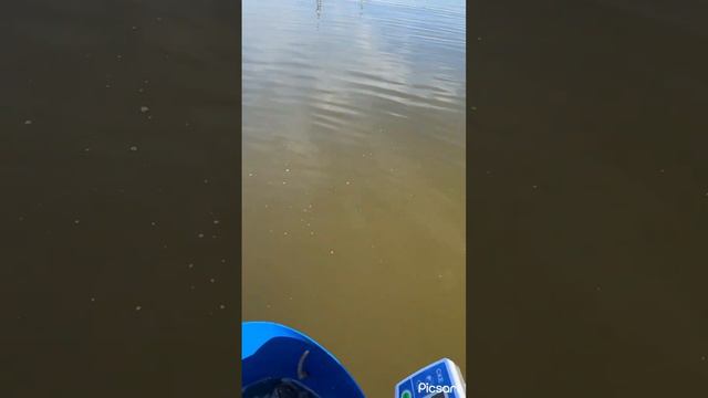 15 сентября 2023 г. смотреть онлайн