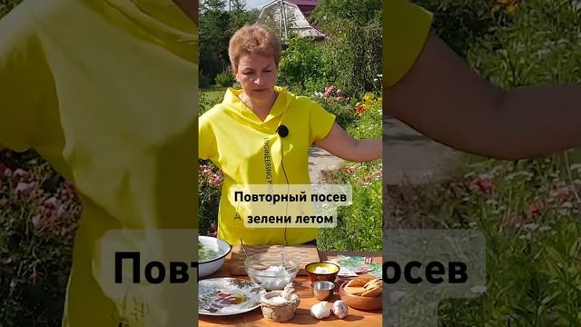 Повторный посев зелени! Сеем каждые 2 недели! #дача #сад #семена #агрофирмааэлита смотреть онлайн