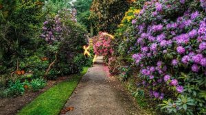 Невероятно Красивая Музыка*Волшебный Дудук Небесная Пан-флейта Саксофон?RELAX MUSIC