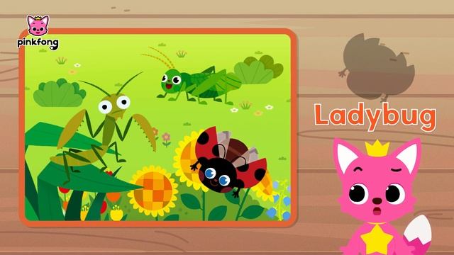 Hide'n Seek with Pinkfong and Bugs: Mantis, Tettigoniidae, Ladybug | Vocab for kids смотреть онлайн