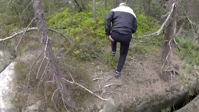 Куда поехать? | Польша | Парк Народовый гор столовых | Park Narodowy Gór Stołowych смотреть онлайн