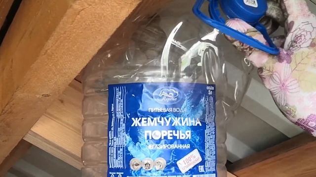 Как убрать осиное гнездо? Безопасно. смотреть онлайн