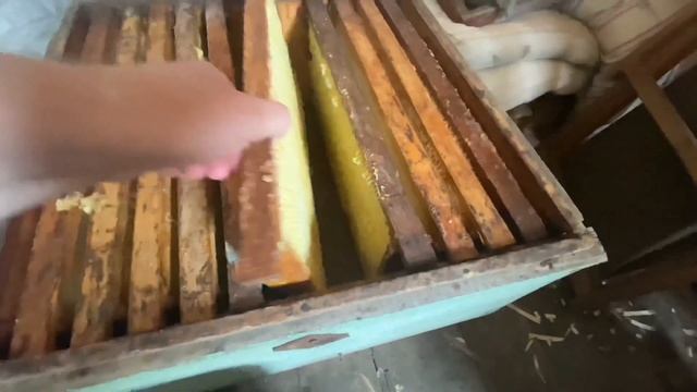 Кто выгнал пчёл из улья? смотреть онлайн