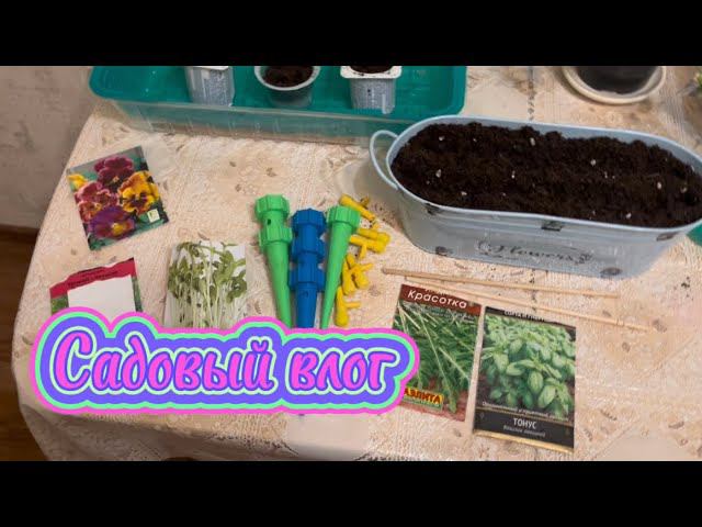 Садовый влог / Сажаю зелень и овощи / Первые эксперименты с суккулентами смотреть онлайн