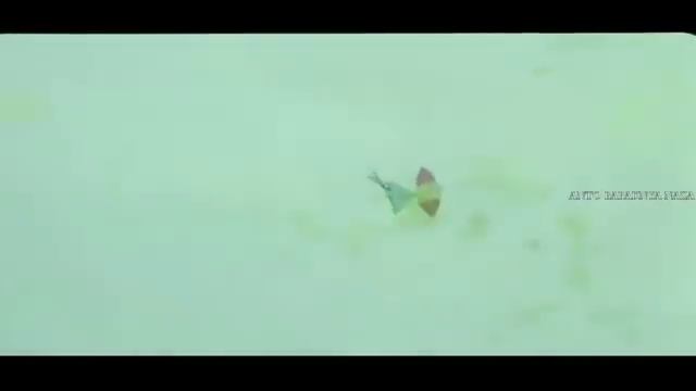 FILM PANAS 1987 mp4 смотреть онлайн