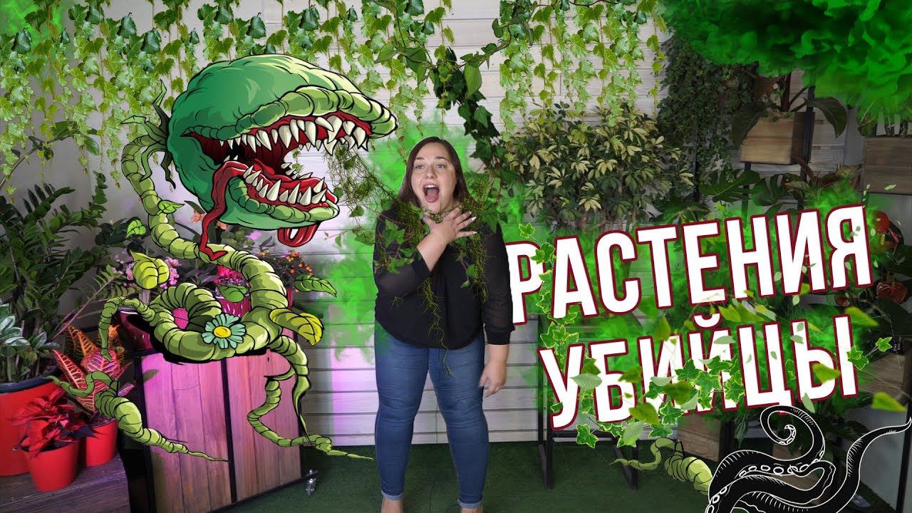 Будьте осторожны с этими растениями ✔️ Самые ОПАСНЫЕ Растения в ВАШЕМ Доме ✔️ Ядовитые растения ✔️ смотреть онлайн