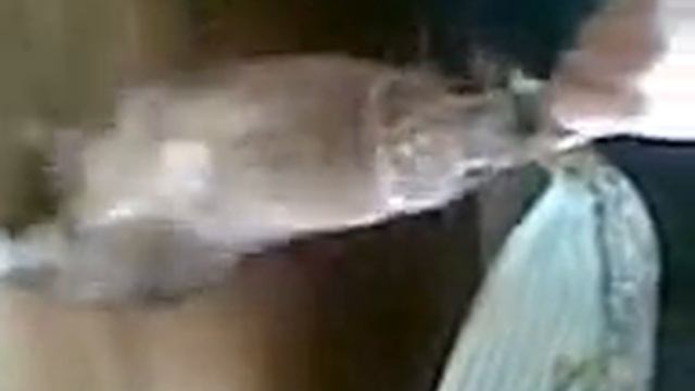 Танец кролика хулигана! смотреть онлайн