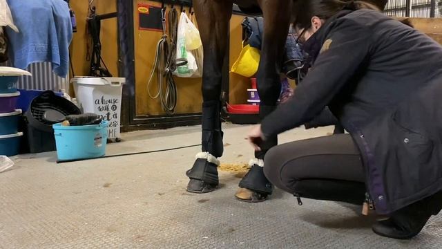 ИППОТЕРАПИЯ. Итоговый проект 9 класс.