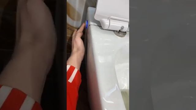 Унитаз без бачка с импульсной системой смыва смотреть онлайн