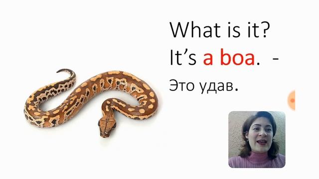 Amphibians And Reptiles (учим слова на тему 