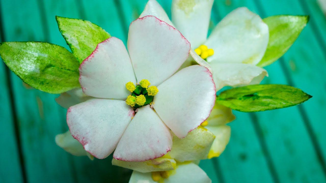 Вафельные цветы ( English Subtitles ) - Я - ТОРТодел! смотреть онлайн