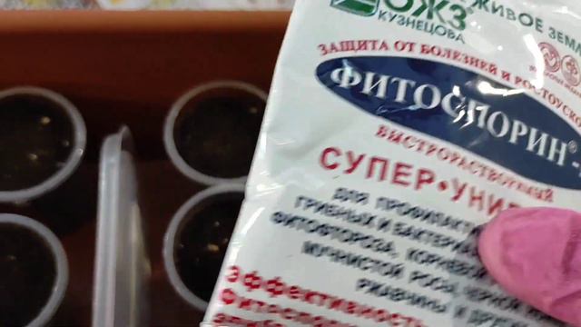Лобелия. В конце февраля сею лобелию. смотреть онлайн