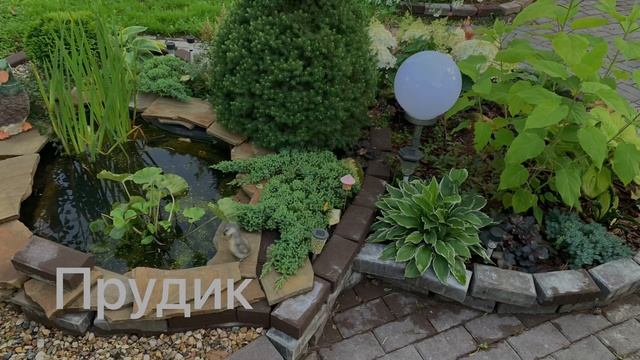 Garden. Дача / До и после / преображение дачи / удача на даче 242 смотреть онлайн