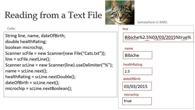 How to read data from a Text File (Gr 11 & 12) смотреть онлайн