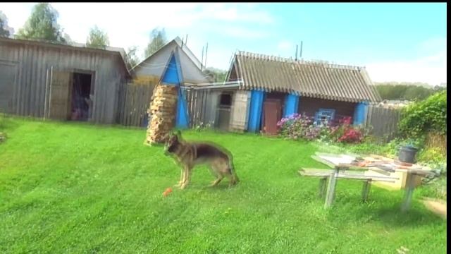 Как развлечь ребёнка? Штурмуем дровяную крепость! смотреть онлайн