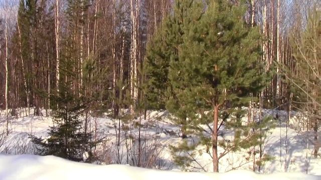 С Раскатом по глубокому снегу. смотреть онлайн