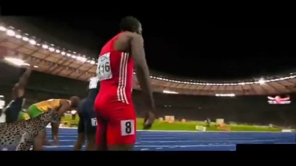Usain Bolt Vs Cheetah