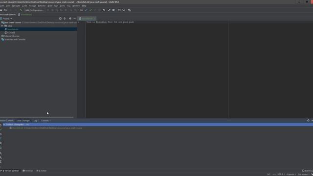 Git Pull Push Basic Using Jetbrains Software, English Version смотреть онлайн