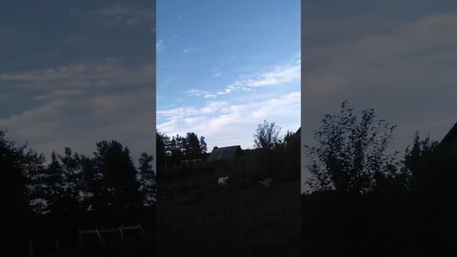 почему Хаски Дом? смотреть онлайн