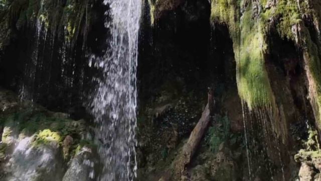 Куда, кому и главное КАК жаловаться на обнаглевших Белошкурников. смотреть онлайн