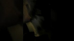 Моя сестра храпит!?