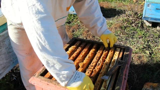 Формируем пчелосемьи  в зиму!!!!