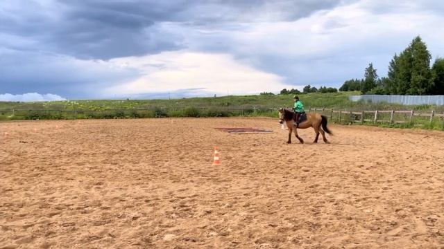 ТРЕНИРОВКА ПО КОННОЙ ЕЗДЕ ПОД ДОЖДЕМ. САМБО/ДЗЮДО ДЕТИ смотреть онлайн