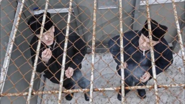 Как нужно вести себя в тюрьме, СИЗО, КПЗ. смотреть онлайн