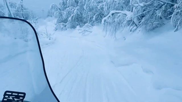 Камень «ПОЛЮД». Красновишерск. Январь 2023 смотреть онлайн