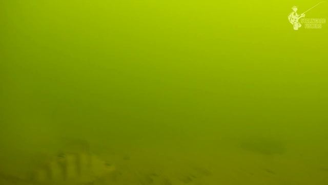 НА ЧТО клюёт КРУПНЫЙ ОКУНЬ? смотреть онлайн
