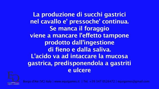 Reti Slow Feeding EQUIGAMES - Miglioramento Psicofisico del Cavallo смотреть онлайн