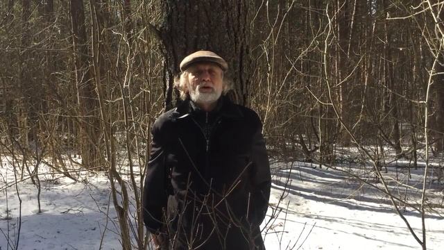 Как зарядиться энергией от деревьев смотреть онлайн