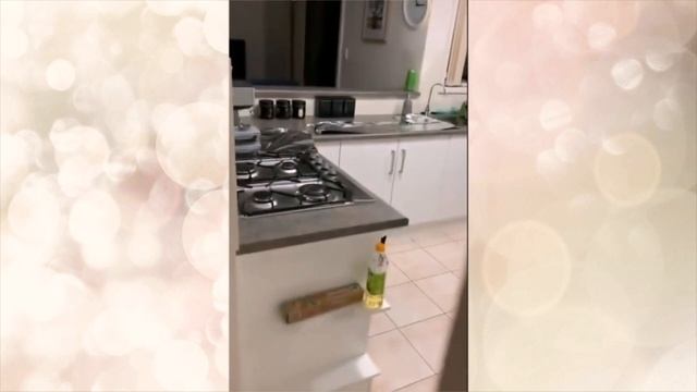 Как отучить кошку лазить по столам смотреть онлайн