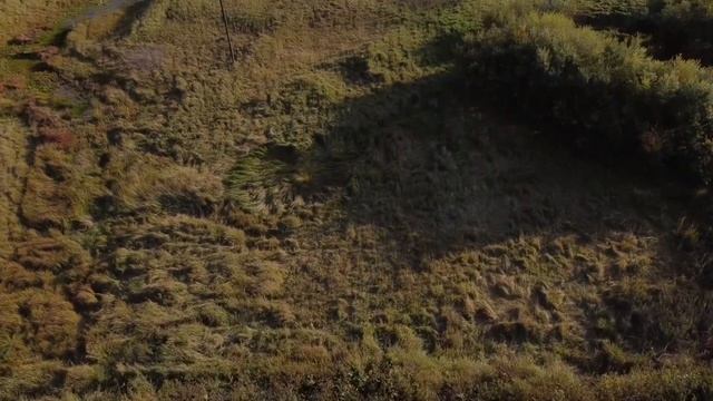 Город "Ужур" с высоты птичьего полёта. смотреть онлайн