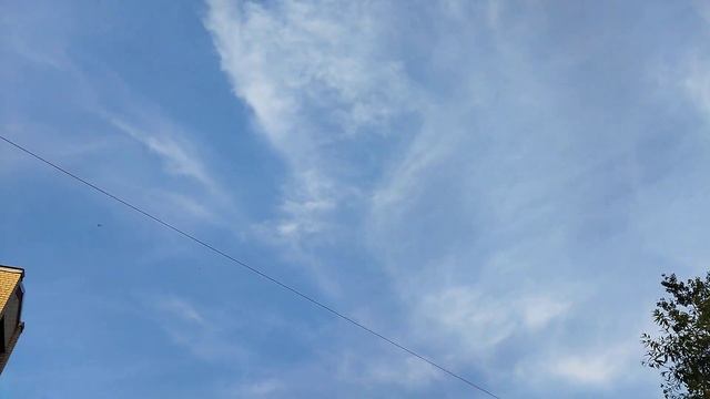 Хорита вымолила прогулку и ее укусил Шмель смотреть онлайн