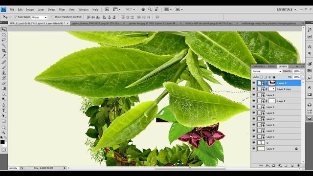 Graphic Design - Green Text - Adobe Photoshop смотреть онлайн