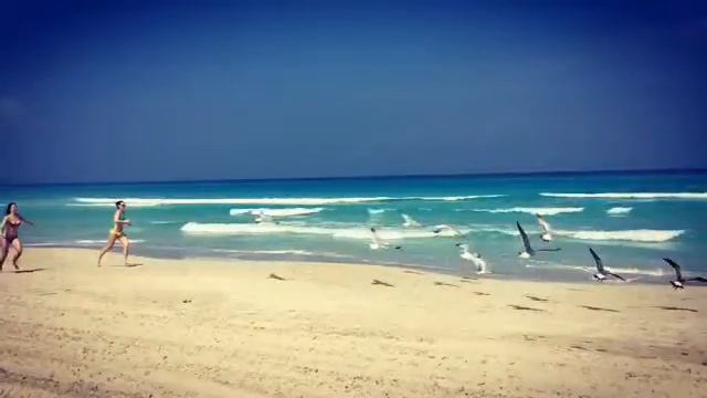 Varadero.Fade out смотреть онлайн