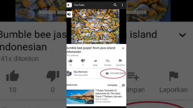 Swicth Account Tutorial - SUB 4 SUB Premium смотреть онлайн