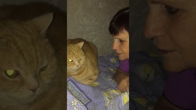 Как разговаривать с котом смотреть онлайн