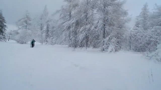 На НИВЕ ФОРА БРОНТО в сказочный лес! смотреть онлайн