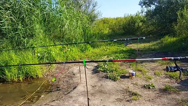 Рыбалка на леща!!! На донку с сигнализатором.Река Тобол!!! смотреть онлайн