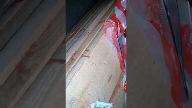 Синусит у индюков смотреть онлайн