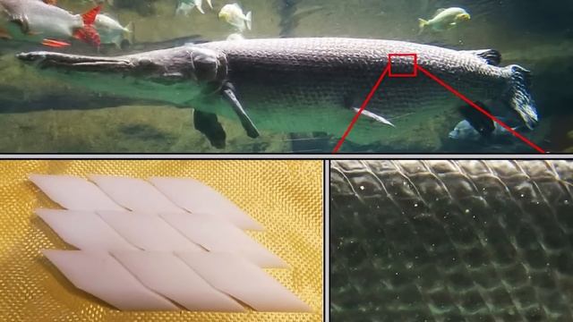 People Always Think They've Caught a Crocodile, But They Haven't смотреть онлайн